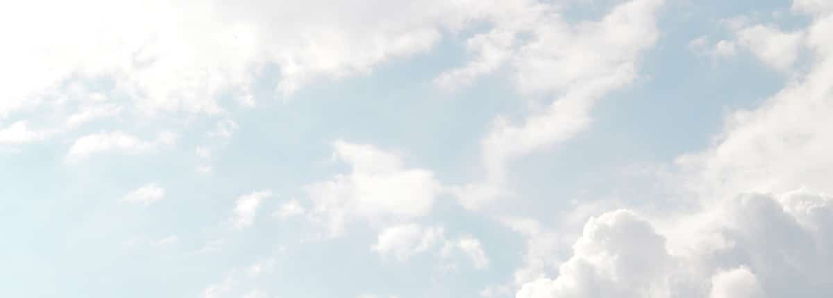 Enviar flores a Teruel